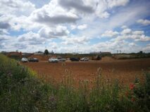 El Ayuntamiento de La Roda informa del hallazgo de restos óseos en ‘Los Terreros’