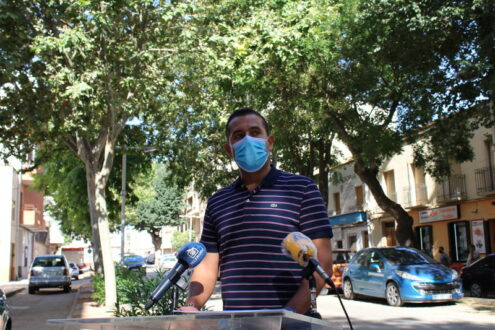 El concejal de Medioambiente informa del estado de los árboles de la Calle Castelar