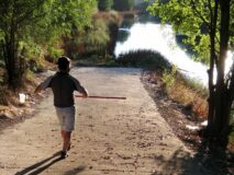 El Ayuntamiento constata una reducción de la plaga de mosquitos en el mes de agosto