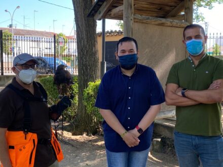 La Roda viene superando en un 25 % la población de palomas estipulada por la OMS