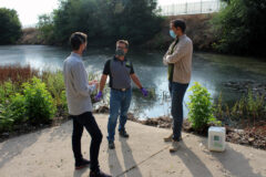 Nuevo tratamiento contra las larvas de mosquito
