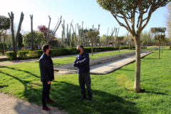 Adjudicada la obra de remodelación de la fuente del Parque de la Cañada